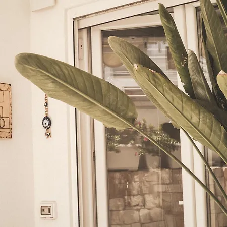 Free Your Mind - Alberto Tatil Evi *